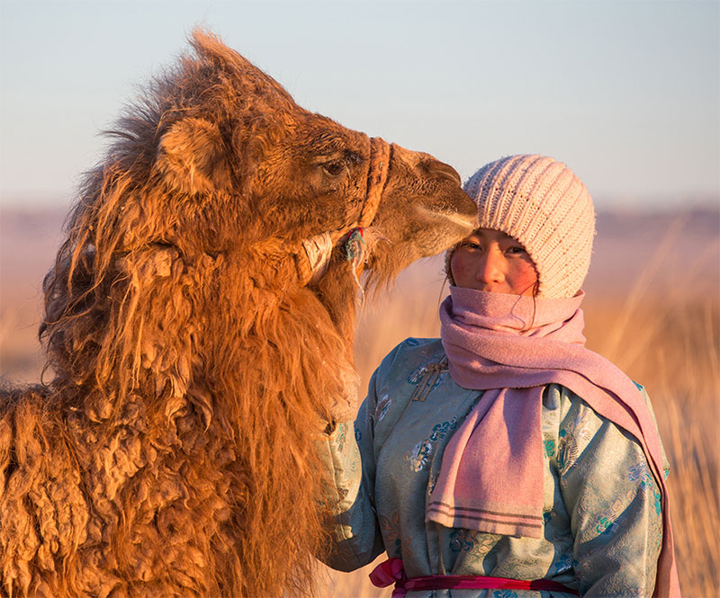 mongolia january photos 